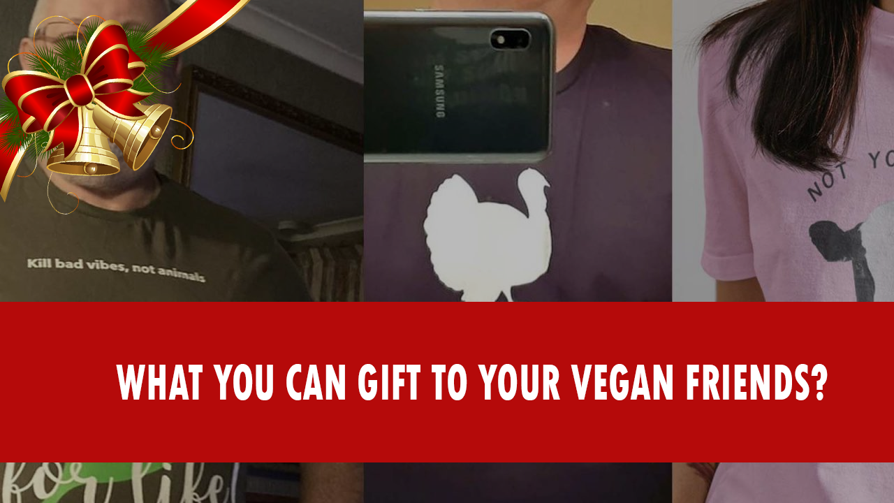 Read more about the article what i can gift to your vegan friends?
